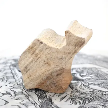 Camel Woodblock Stamp