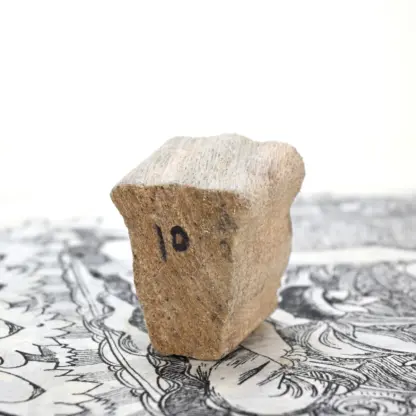 Owl Woodblock Stamp