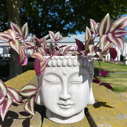 Buddha Head Planter