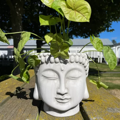 Buddha Head Planter