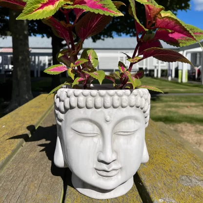 Buddha Head Planter