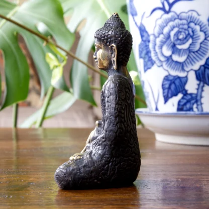 Buddha Holding a Water Jar (Antique)