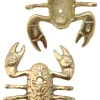 Scorpion Wall Hook Screw Holes