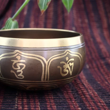 Buddha Eyes Singing Bowl