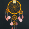 Dream Catcher Orange Shells