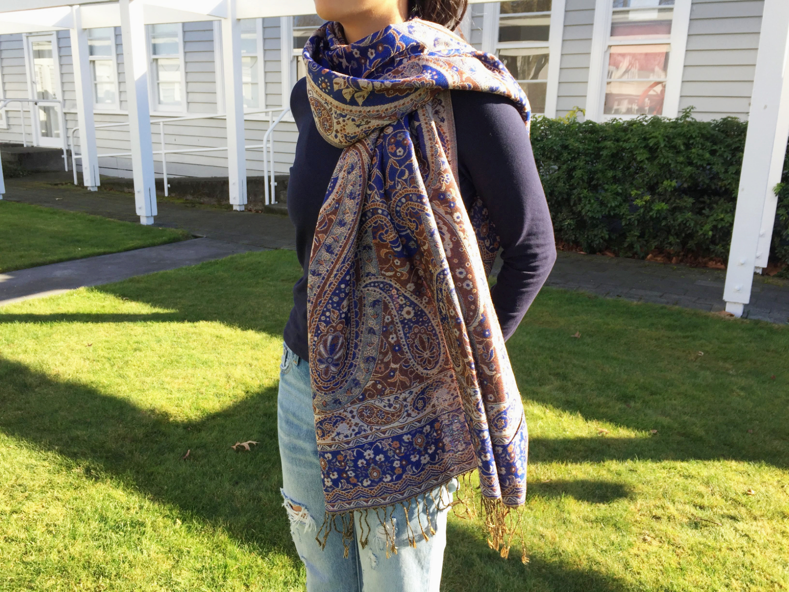 Pashmina Shawl Purple