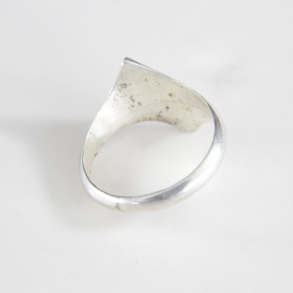 Shark Fin - Image 2
