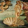 Scallop Shell