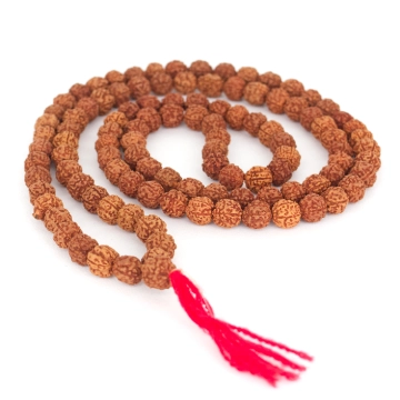 Rudraksha Mala Beads